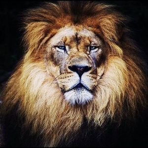 Meet your Posher, Alicia